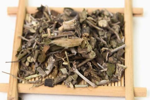 六月雪泡水喝的功效与作用（六月雪泡茶）