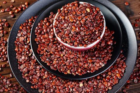 枣仁的功效与作用 枣仁安神胶囊的功效与作用