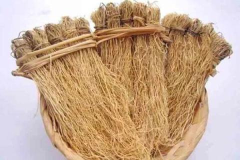 养肝草作用的功效与作用（养肝草作用的功效与作用图片）