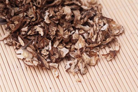 蒲公英泡枸杞子水喝的功效与作用 蒲公英对前列腺炎有用吗