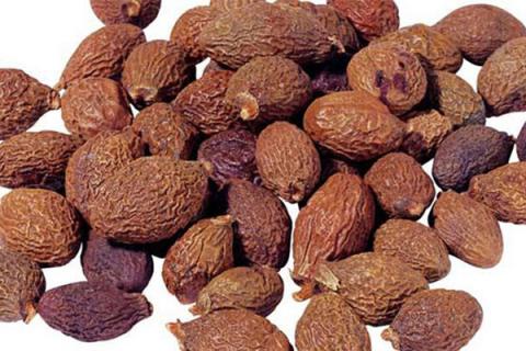 胖大海泡水喝的功效与作用（金银花加胖大海泡水喝的功效与作用）