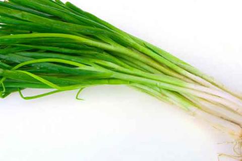 葱的功效与作用（葱的功效与作用害处）