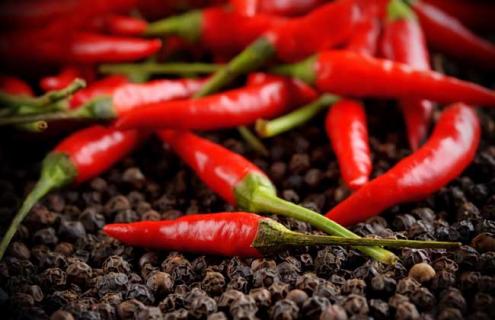 辣椒种类图片大全（辣椒种类图片大全及名称）