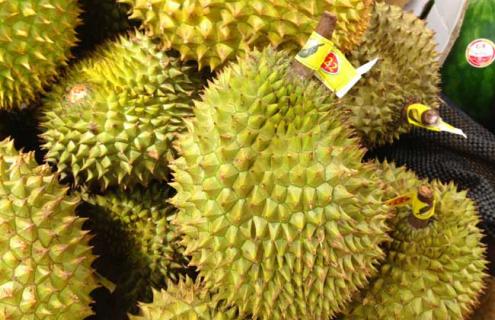 榴莲品种图片大全 榴莲品种图片大全大图