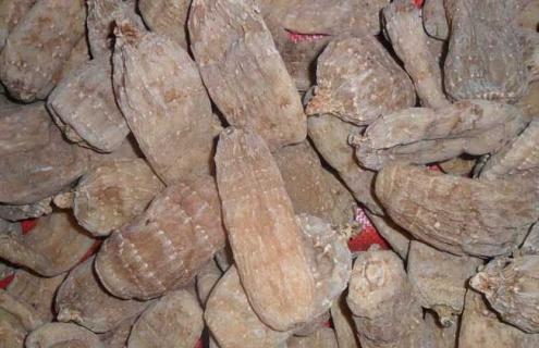 天麻种类图片大全 天麻种类的功效与作用