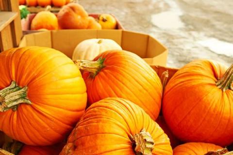 南瓜尖的功效与作用 南瓜尖的功效与作用上火吗?