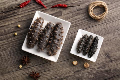 吃海参的功效与作用（产妇吃海参的功效与作用）