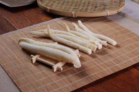 沙参玉竹的功效与作用（沙参玉竹的功效与作用的功能与主治）