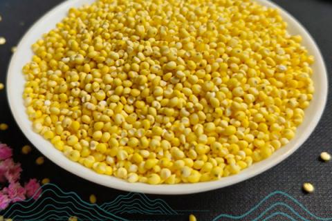 黍米的功效与作用 黍米的功效与作用禁忌症