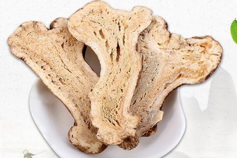 焦白术的功效与作用（焦白术的功效与作用中药）