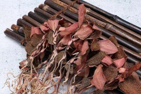 干金线莲的功效与作用（干金线莲的功效与作用多少钱一斤）