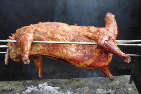 羊肉的功效与作用（羊肉汤的功效与作用）