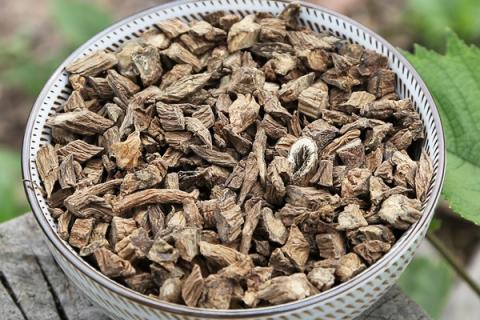 川断的功效与作用（川断的功效与作用的功能与主治）