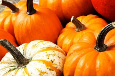 老南瓜的功效与作用（老南瓜的功效与作用及副作用）