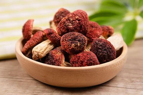 菌菇的功效与作用（松茸菌菇的功效与作用）