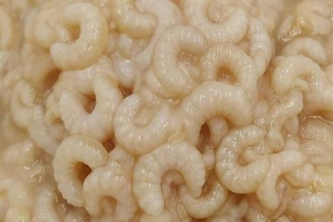 蜂王胎的功效与作用（蜂王胎的功效与作用吃法）