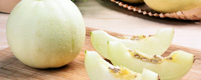 芒果的收获季节是什么时候（芒果的收获季节是什么时候的）