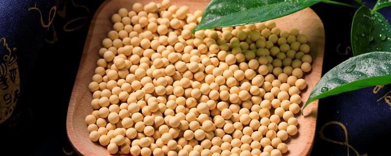 大豆油的密度是多少 大豆油的密度是多少g/cm3