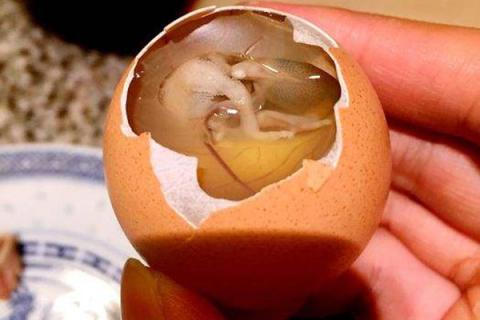 活珠子鸡蛋的功效与作用 活珠子鸡蛋的功效与作用视频