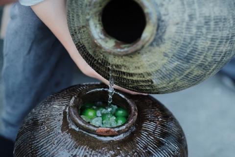 青梅酒的功效与作用（青梅的功效与作用）