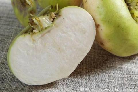 恰玛古的功效与作用（恰玛古的功效与作用及营养价值）