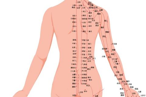 列缺的功效与作用