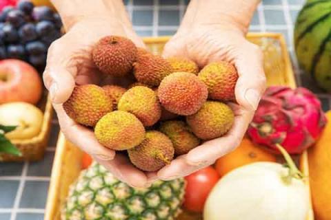 荔枝的功效与作用（新鲜荔枝的功效与作用）