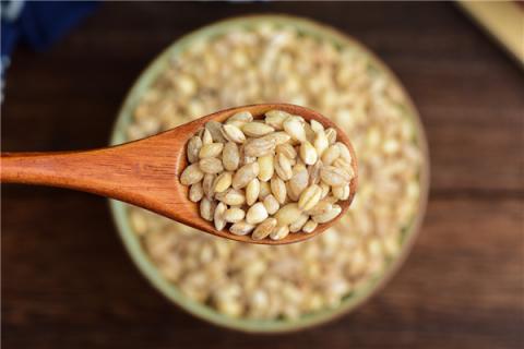 麦仁粥的功效与作用 绿豆麦仁粥的功效与作用