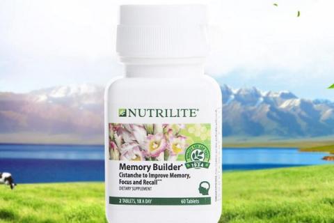 银杏苁蓉片的功效与作用 银杏苁蓉片的功效与作用及副作用