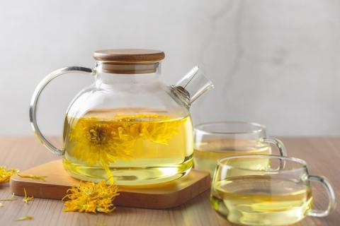 金丝皇菊泡水喝的功效与作用 金丝皇菊泡水喝的功效与作用及禁忌