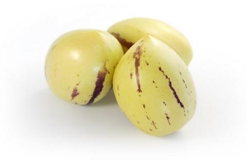 人生果功效与禁忌 人生果功效与禁忌有哪些