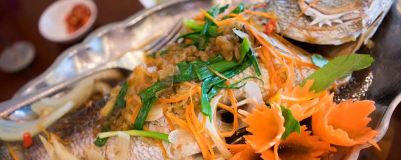 巴沙鱼片和龙利鱼片是同一种鱼吗（巴沙鱼片和龙利鱼片是一种鱼片吗）