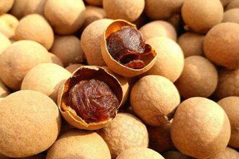 桂肉桂肉的功效与作用 桂肉桂肉的功效与作用图片