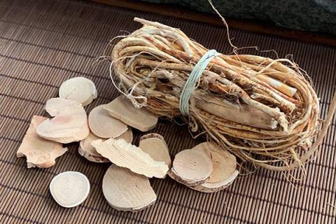 五指毛桃的功效与作用（五指毛桃的功效与作用及禁忌）