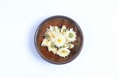 贡菊的功效与作用（金丝皇菊茶的功效与作用）