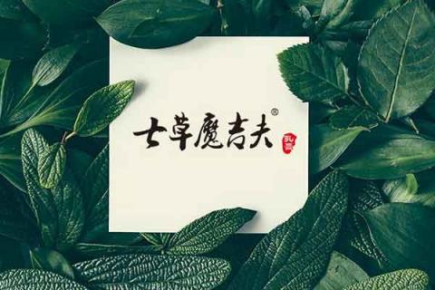 七草魔吉夫的功效与作用 七草魔吉夫的功效与作用是什么