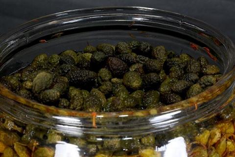 野西瓜泡酒的功效与作用（新疆的野西瓜泡酒的功效与作用）