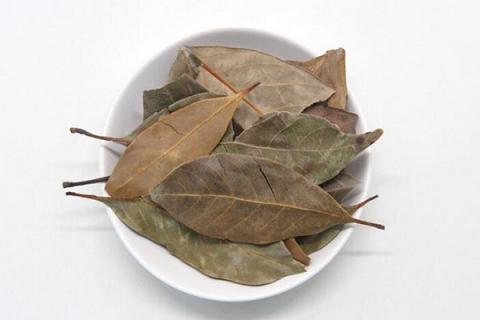 姜叶的功效与作用（艳山姜叶的功效与作用）