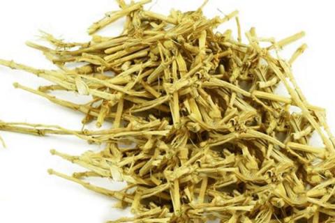 茅根的功效与作用 茅根的功效与作用与主治