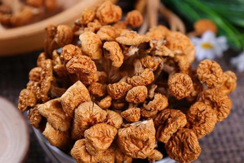 滑子菇的功效与作用 滑子菇的功效与作用及食用方法