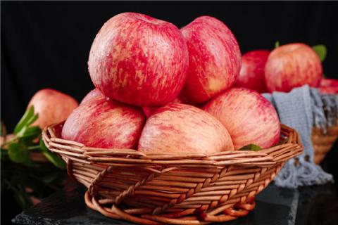 苹果粉的功效与作用（苹果粉的功效与作用是什么）