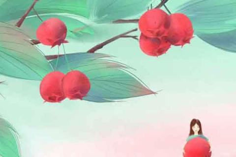 山楂叶泡水的功效与作用（山楂泡水的功效与作用）