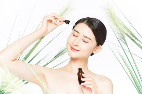 岩兰草精油的功效与作用 岩兰草精油的功效与作用是什么呢