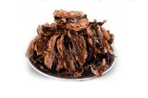 分心木的功效与作用 分心木的功效与作用及禁忌是什么