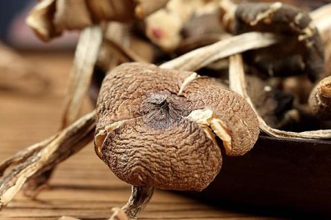 鸡枞菌的功效与作用 羊肚菌的功效与作用