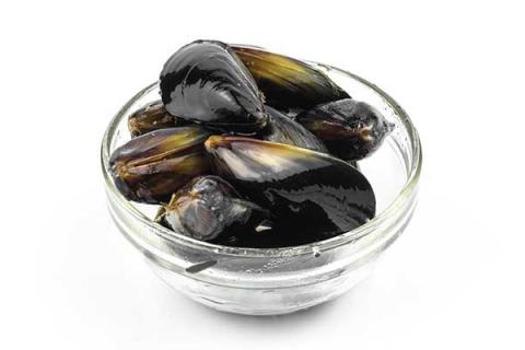 淡菜的功效与作用 淡菜的功效与作用禁忌