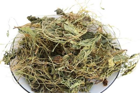 地丁的功效与作用（地丁的功效与作用的功能与主治）