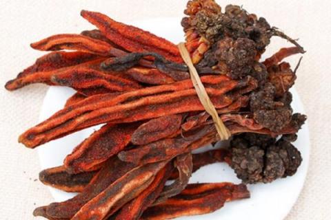 顶天柱的功效与作用（西藏顶天柱的功效与作用）