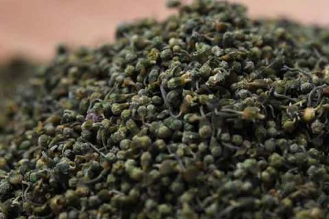 参花的功效与作用 长白山人参花的功效与作用