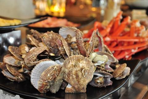 扇贝的功效与作用（女人吃扇贝的功效与作用）